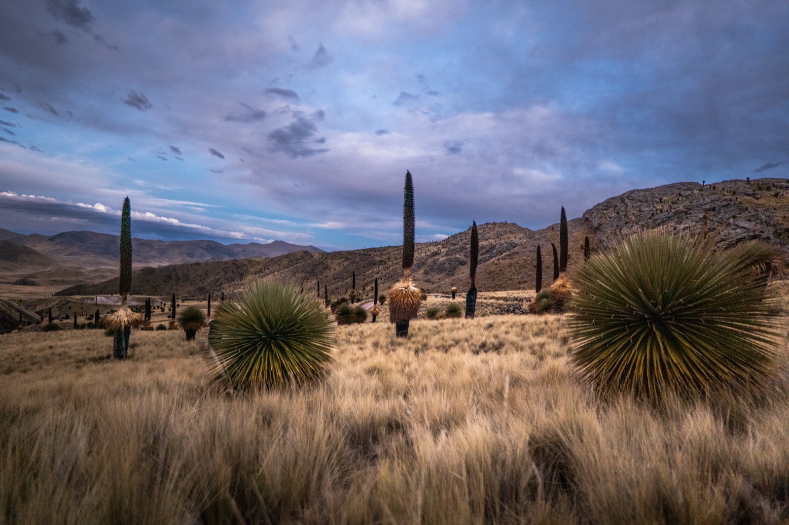 The Call of Silence — Andean Hotels brand film in the Peruvian Andes — still 17